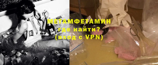 прущие грибы Волосово