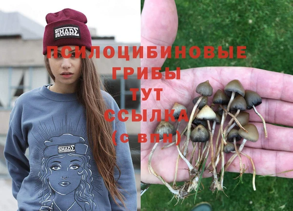 прущие грибы Волосово
