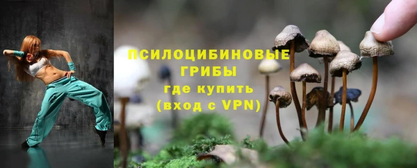 прущие грибы Волосово