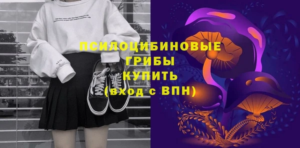 прущие грибы Волосово