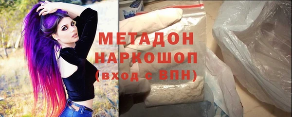 прущие грибы Волосово