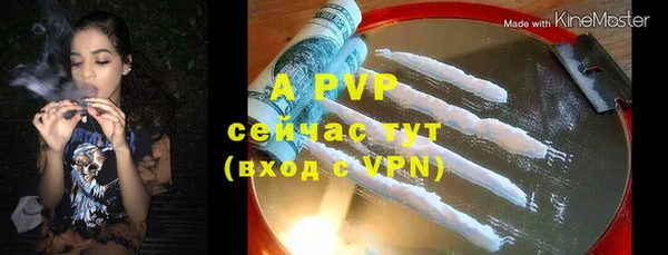 прущие грибы Волосово
