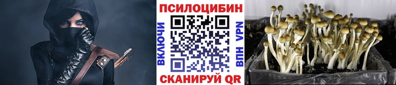 Псилоцибиновые грибы мицелий  Щигры 