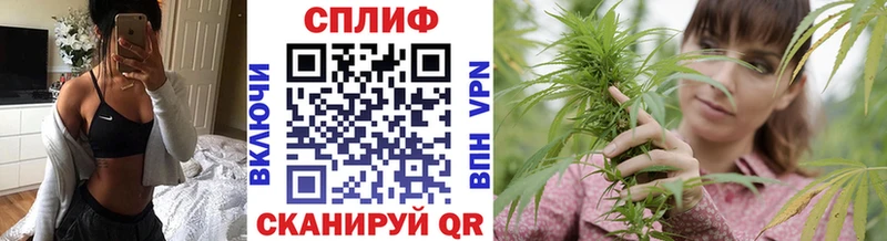 закладка  Щигры  Шишки марихуана семена 